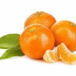 Mandarina / Tangerine 48ct 20LB