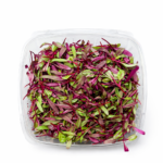 Micro Bulls Blood 8oz