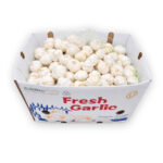 Ajo Entero 20LB / Garlic Whole 20LB