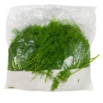 Eneldo 1LB / Dill Herb 1LB