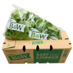 Espinaca Baby 2x2LB / Spinach Baby 2x2LB
