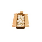 Hongo Blanco 3LB / Mushroom White 3LB
