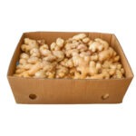 Jengibre 30LB / Ginger 30LB