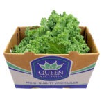 Kale Verde 24ct / Kale Green 24ct