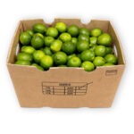 Limon 200 40LB / Limes 200ct 40LB