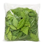 Laurel Fresco 1LB / Bay Leaves Fresh 1LB