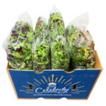 Lechuga Arcadian 4x3LB / Lettuce Arcadian 4x3LB