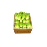 Lechuga Baby Gem 24ct / Lettuce Sweet Gem 24ct