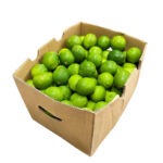 Limon 175ct 40LB / Limes 175ct 40LB