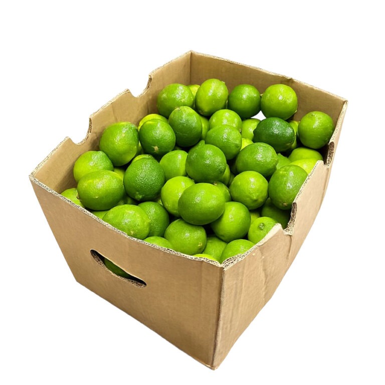 Limon 175ct 36LB / Limes 175ct 36LB