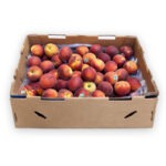 Melocoton 20LB / Peach 20LB