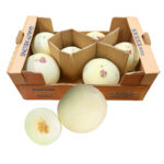 Melon Honeydew 5/6ct