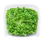 Micro Cilantro 8oz