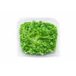 Micro Cilantro 8oz