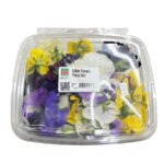 Flor Pansy Mix 50ct / Flower Pansy Mix 50ct