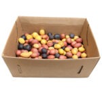 Papa Colores Pequeña 10LB / Potato Marble Mix 10LB