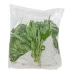 Sage 1LB / Sage Herb 1LB