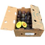 Aguacate Hass Maduro 60ct / Avocado Hass Ripe 60ct