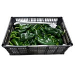 Aji Poblano 25LB / Pepper Poblano 25LB