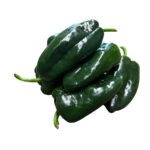 Aji Poblano 5LB / Pepper Poblano 5LB