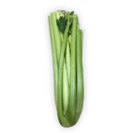 Apio UNIDAD / Celery ea