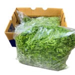 Arugula Baby Caja/Case 2x1.5LB