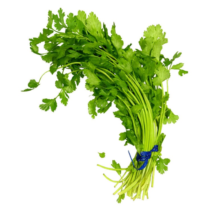 Cilantro (Unit)