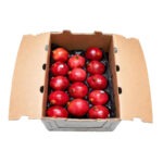 Granada 12ct / Pomegranate 12ct