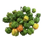 Habanero Bolsa/Bag 2LB