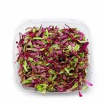 Micro Bulls Blood 8oz