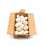 Hongo Blanco 3LB / Mushroom White 3LB