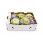 Coliflor Colores 6ct / Cauliflower Mix Colors 6ct