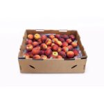 Melocoton 20LB / Peach 20LB