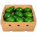 Aguacate Dominicano 16/18 ct / Dominican Avocado 16/18 ct