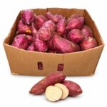 Boniato Oriental 40LB / Potato Sweet (Oriental) 40LB