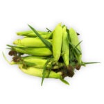 Maiz 15ct / Corn Yellow 15ct