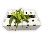 Maiz Amarillo 48ct / Corn Yellow 48ct