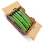 Pepino Europeo Caja 12ct / Cucumber European 12ct