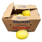 Spaguetti Squash 40LB