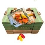 Sweet Pepper Baby 12x1LB / Mini Sweet Pepper 12x1LB