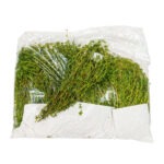 Tomillo 1LB / Thyme Herb 1LB
