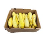 Yellow Squash Medium 15LB