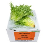 Lechuga/ Lettuce Frisse 12ct