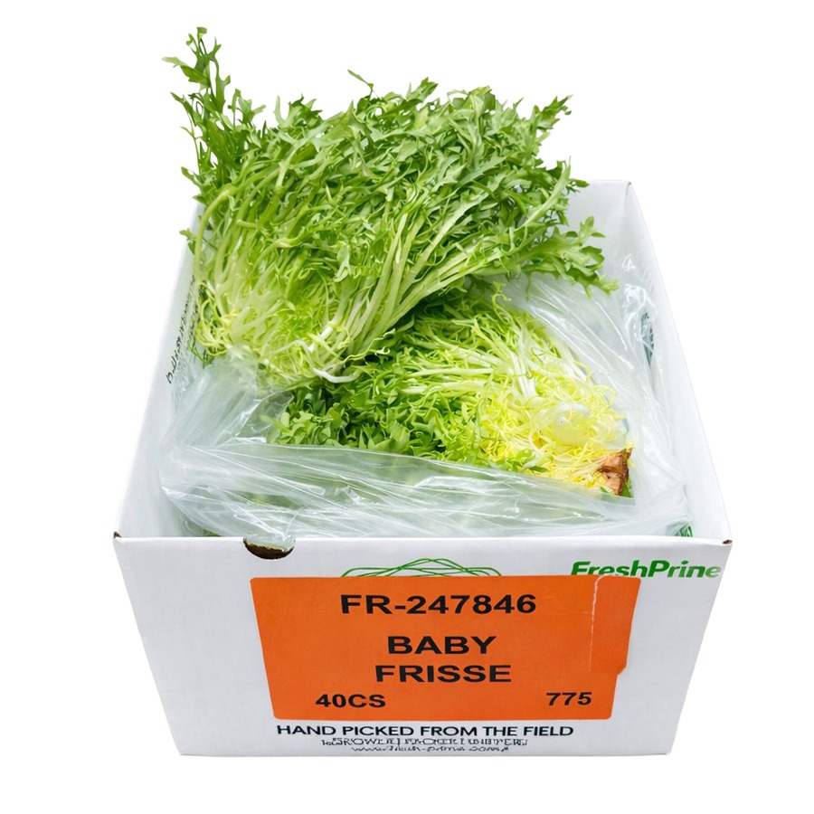 Lechuga Frisse Baby 12 ct / Baby Frisse Lettuce 12 ct