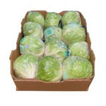 Lechuga Iceberg 12ct/ Iceberg Lettuce 12ct