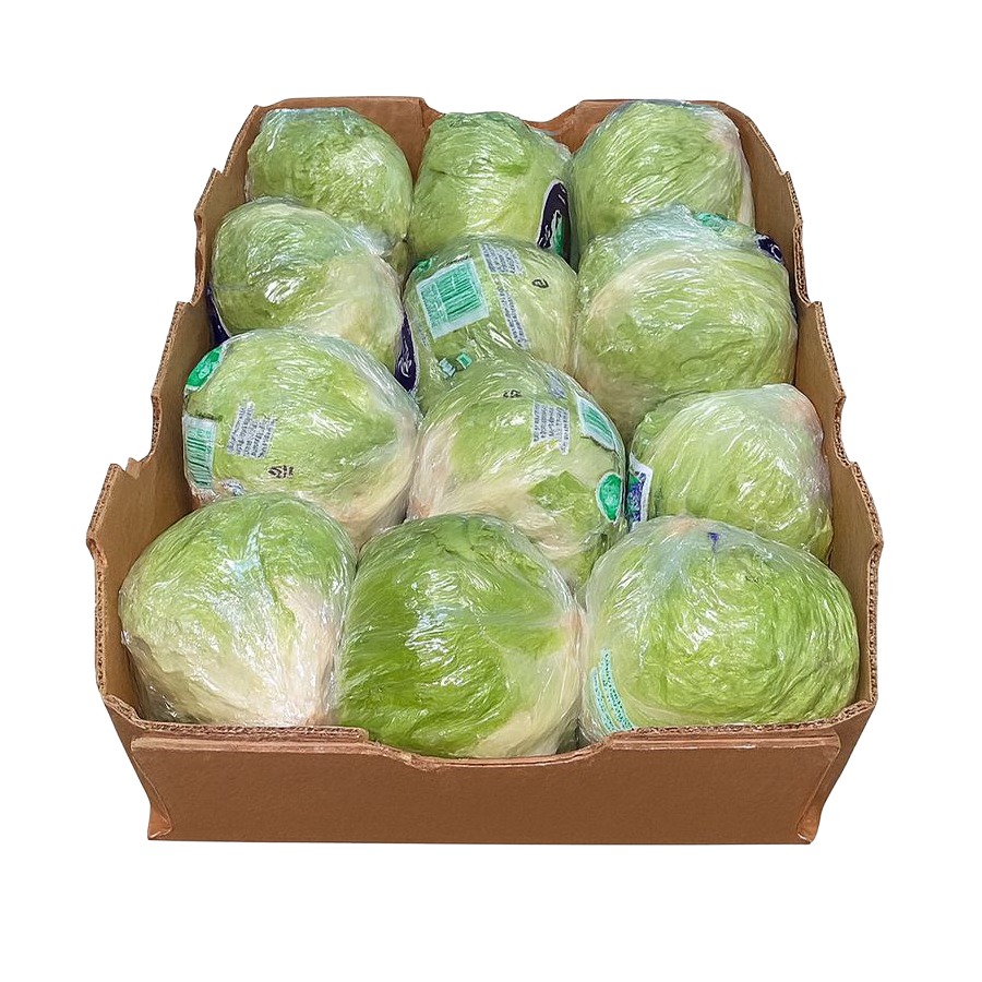 Lechuga Iceberg 12ct/ Iceberg Lettuce 12ct