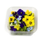 Micro Flor Viola 50ct / Micro Flower Viola 50ct