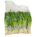 Cebollino Bolsa 24ct / Onion Green (Scallions) 24ct