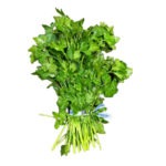 Perejil Italiano unidad / Parsley Italian ea