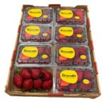 Fresa Selecta 8x1LB / Strawberry Select 8x1LB